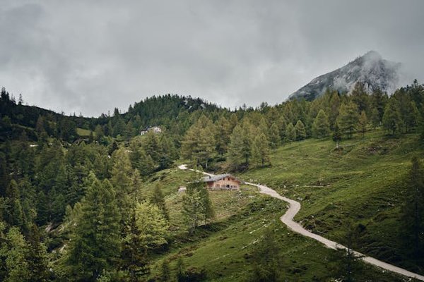 Comment organiser une visite des anciennes routes commerciales de la Route de l'Encens?